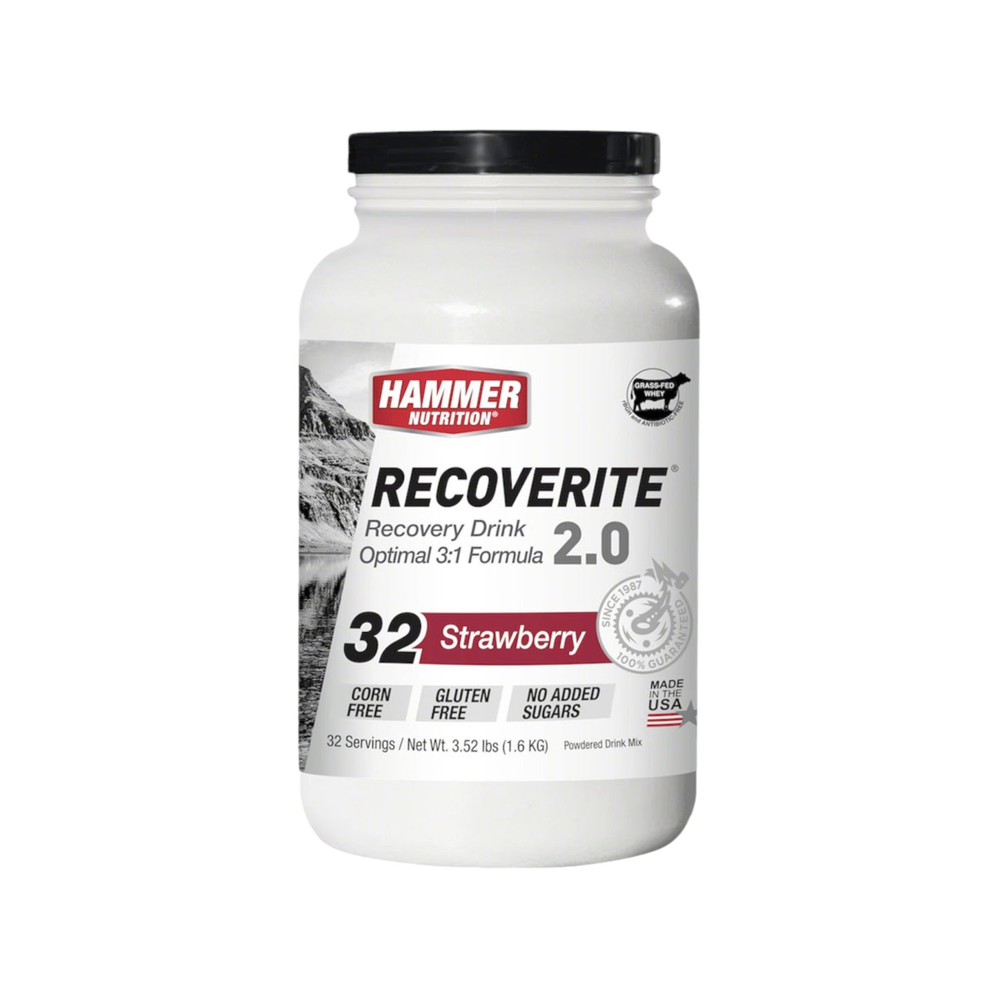 Bebida de recuperación 2.0 de Hammer Nutrition, sabor fresa, bote de 32 servicios