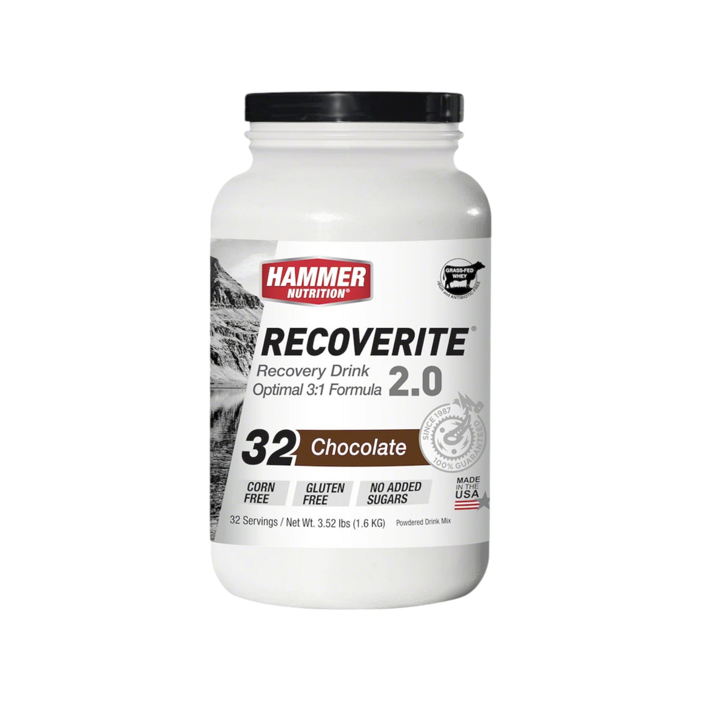 Bebida de recuperación 2.0 de Hammer Nutrition, chocolate, bote de 32 servicios