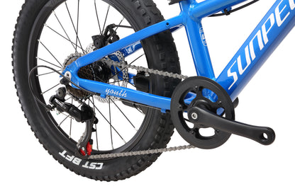 Bicicleta para Niño Sunpeed Youth 20" – Suspensión, Frenos de Disco y Shimano 7 Velocidades.