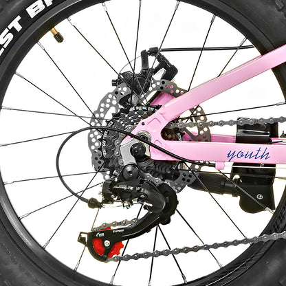 Bicicleta para Niña Sunpeed Youth 20" – Suspensión, Frenos de Disco y Shimano 7 Velocidades.